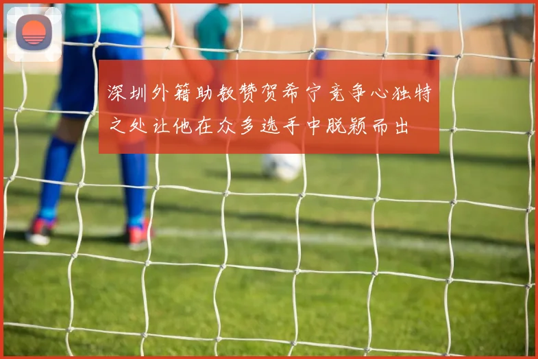 深圳外籍助教赞贺希宁竞争心独特之处让他在众多选手中脱颖而出